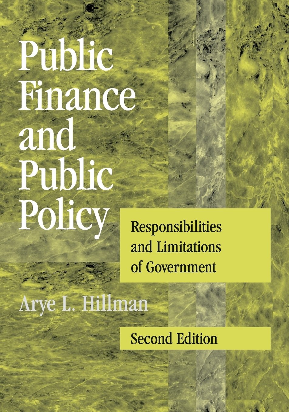 Public Finance and Public Policy: Responsibilities and Limitations of Govern…