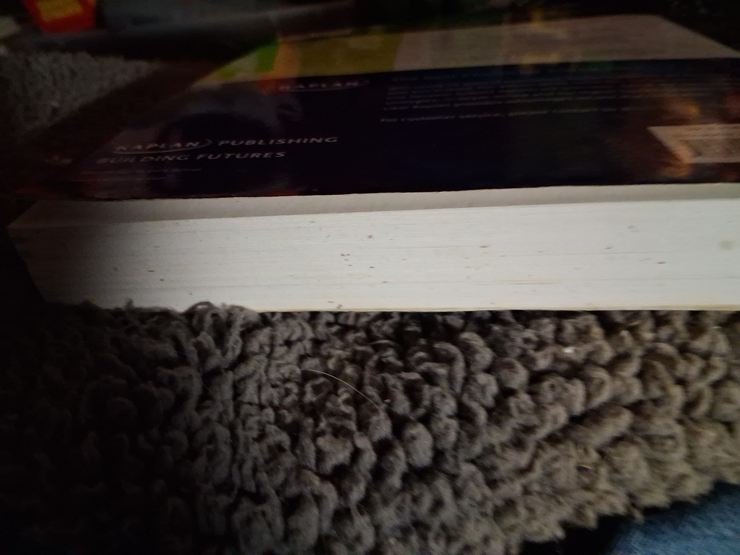 ASVAB 2011 by Kaplan Publishing Staff (2010, Trade Paperback)