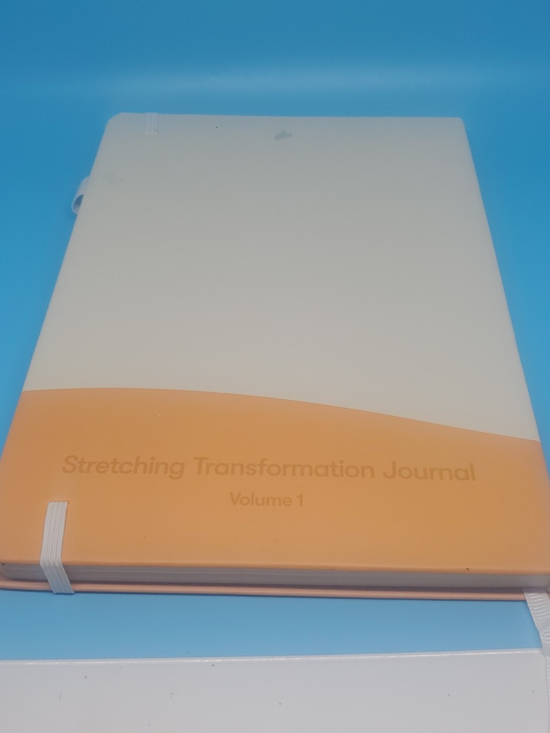 Stretching Sidekick Journal by Habit Nest Guided Stretching Volume 1