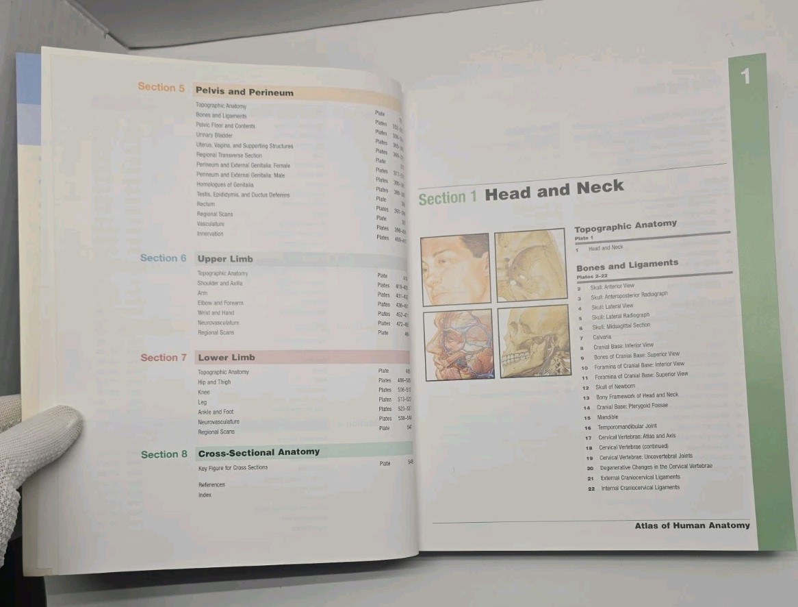 Netter Basic Science Ser.: Human Anatomy by Frank H. Netter (2006, Perfect)