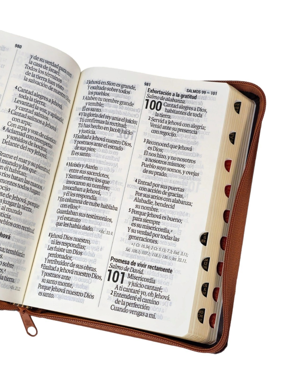 Biblia de letra gigante tamaña manual 14 puntos reina 1960 cierre marron Indice