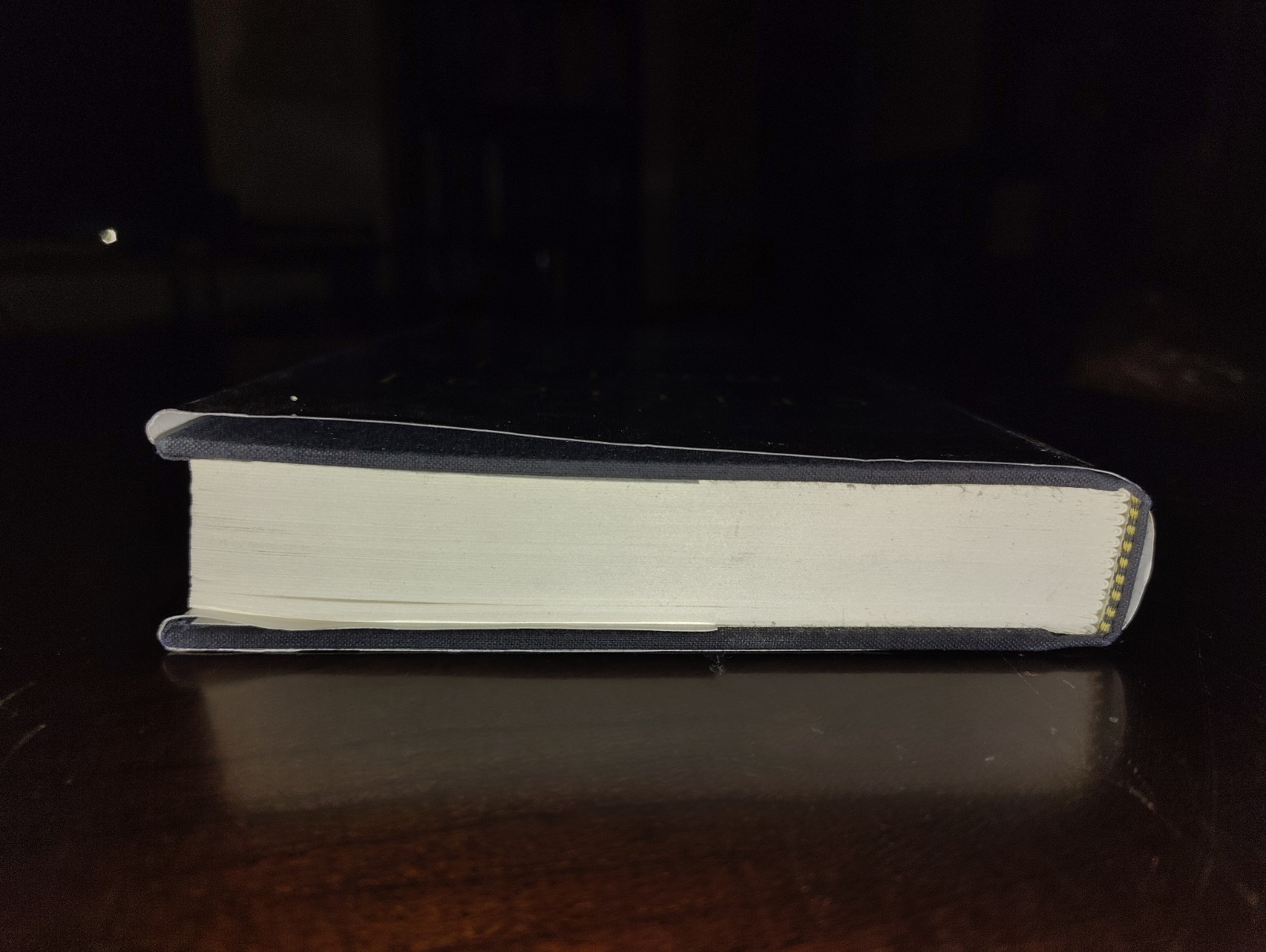 Critical Models: Interventions And Catchwords By Theodor W. Adorno ~ 1998 1st Ed