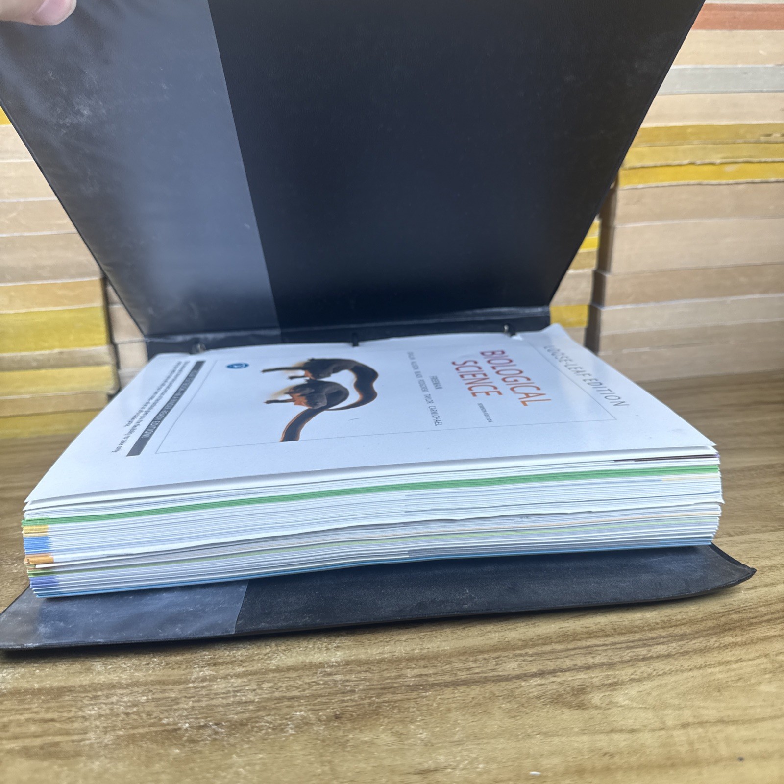 Biological Science – Loose Leaf, by Freeman Scott; Quillin – Good W/ Binder