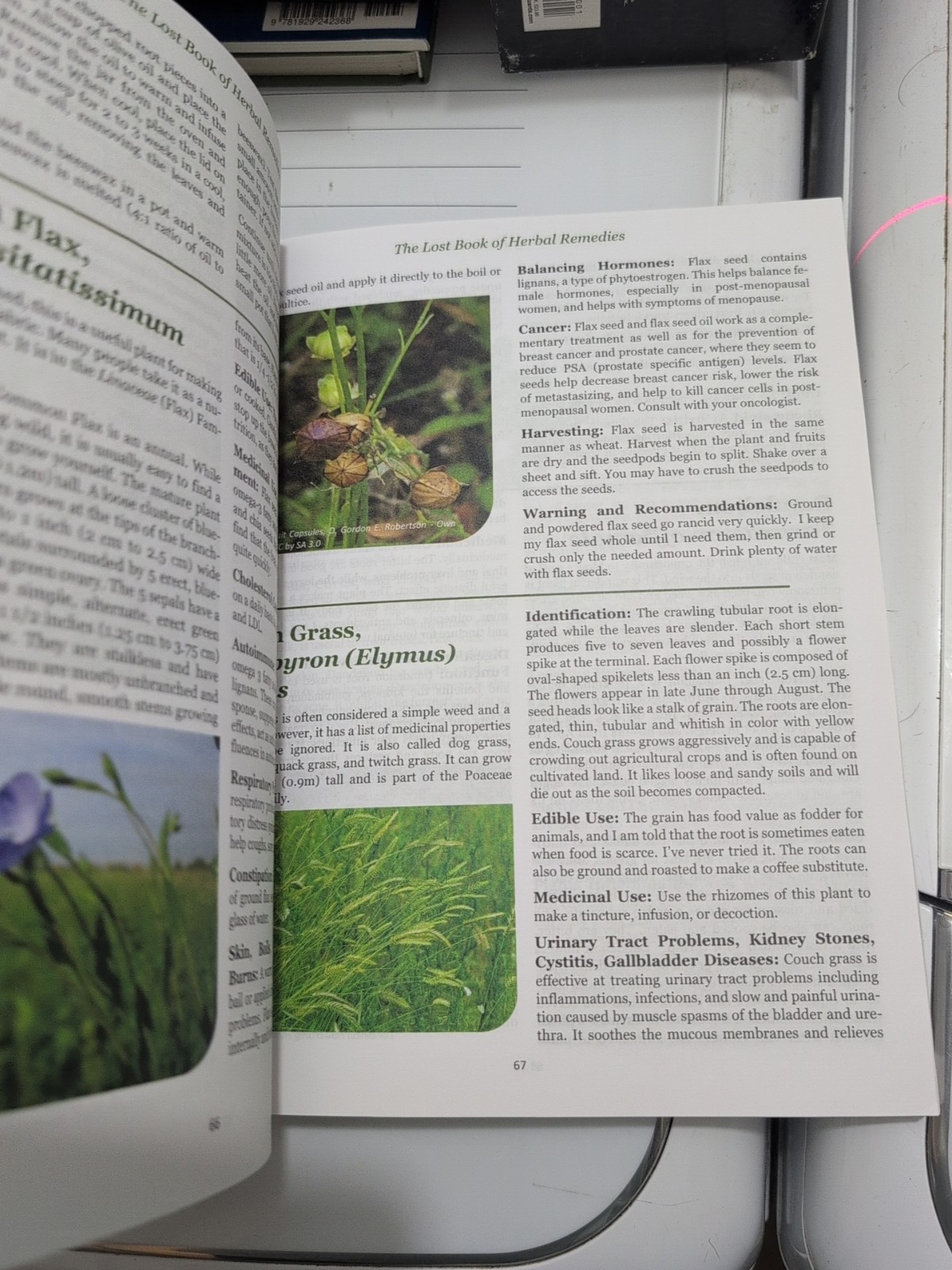 The Lost Book of Herbal Remedies (paperback with color pictures)