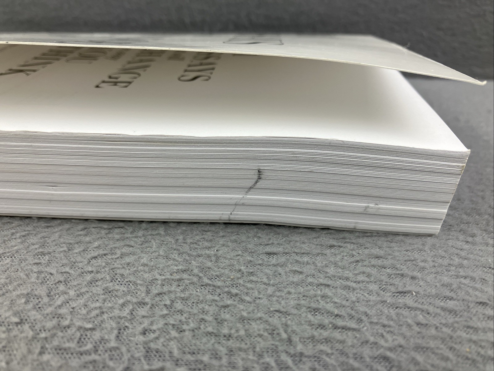 101 Essays That Will Change The Way You Think Paperback Brain Wiest