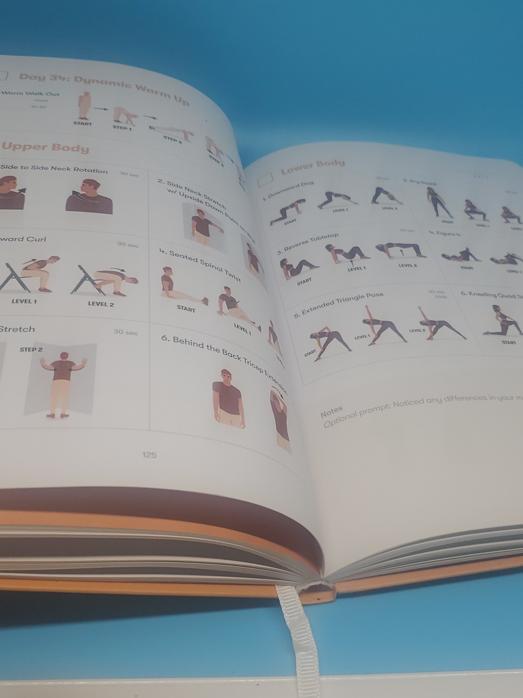 Stretching Sidekick Journal by Habit Nest Guided Stretching Volume 1
