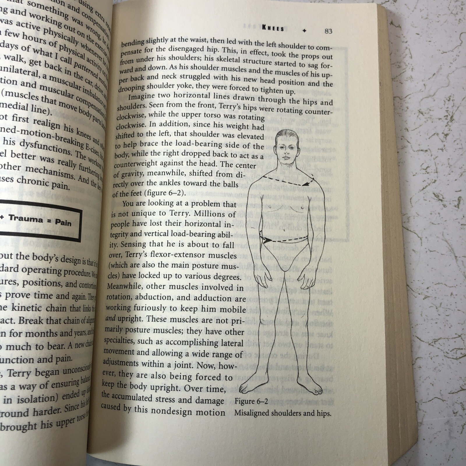 Pain Free: A Revolutionary Method for Stopping Chronic Pain Egoscue, Pete, Gitt
