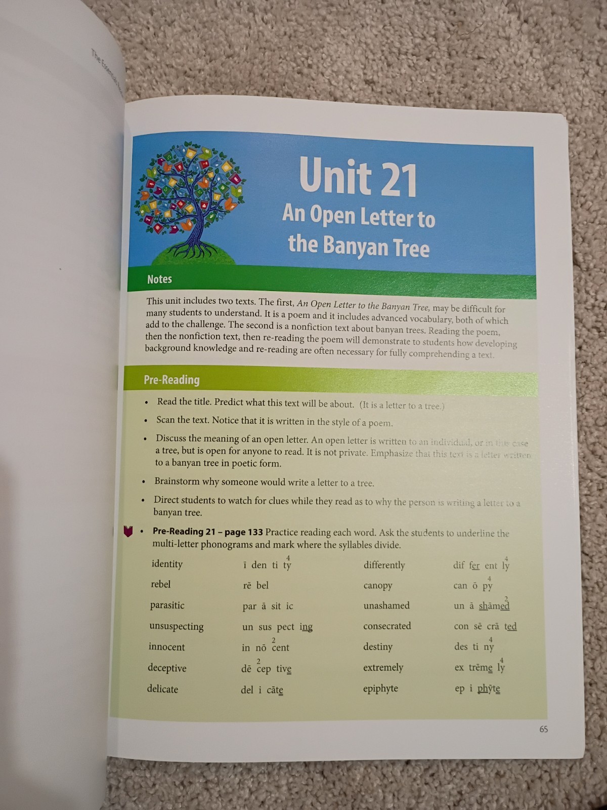 A Companion To The Essentials Reader – TEACHERS GUIDE
