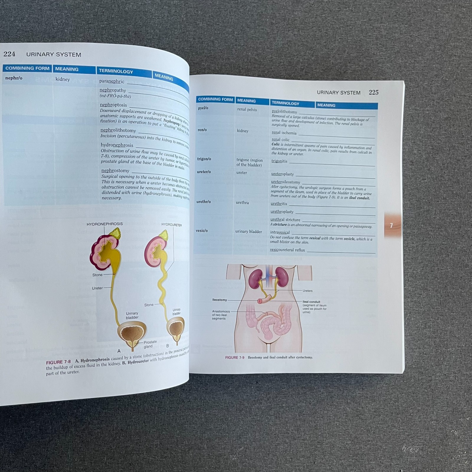 Language of Medicine by Davi-Ellen Chabner, 11th Edition (2016, Trade Paperback)