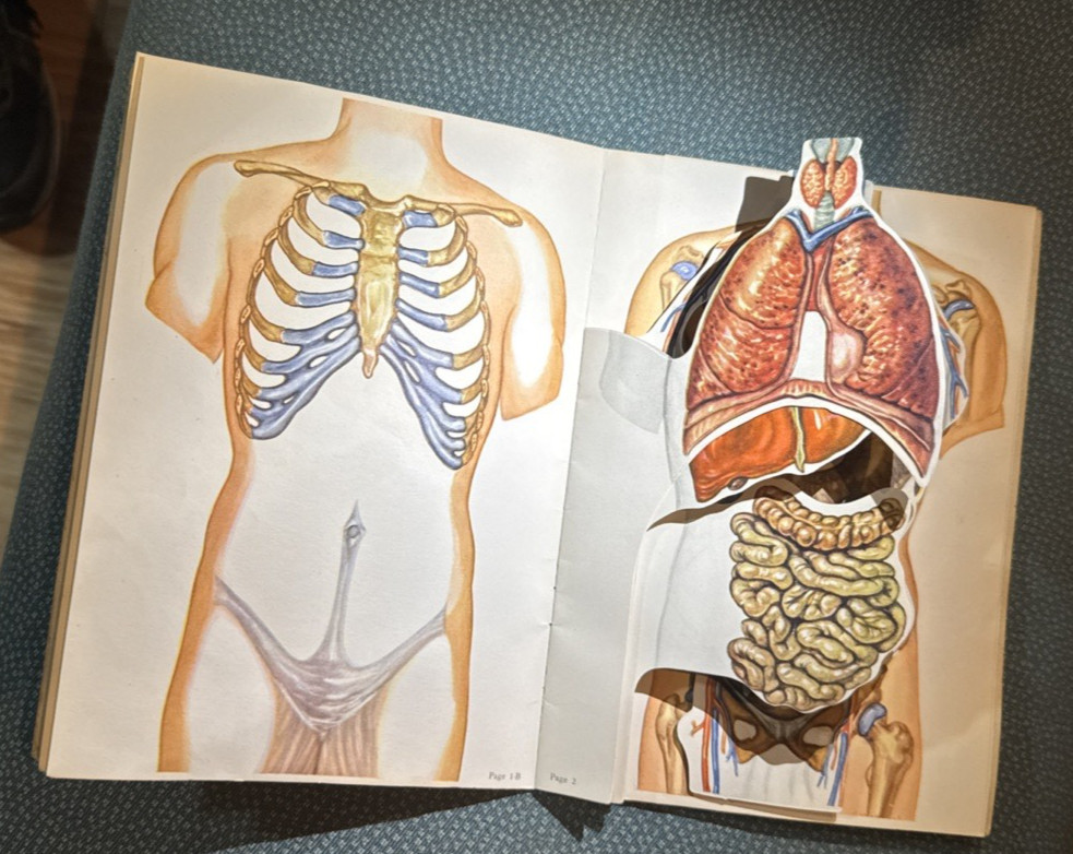 The Humanoscope of The Human Body Dr. Morris Fishbein 1949 illustrated Vintage
