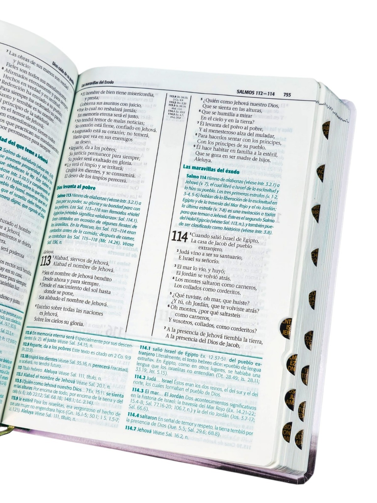 Biblia de Estudio Esquematizada Letra Grande RV1960, imit. piel con índice