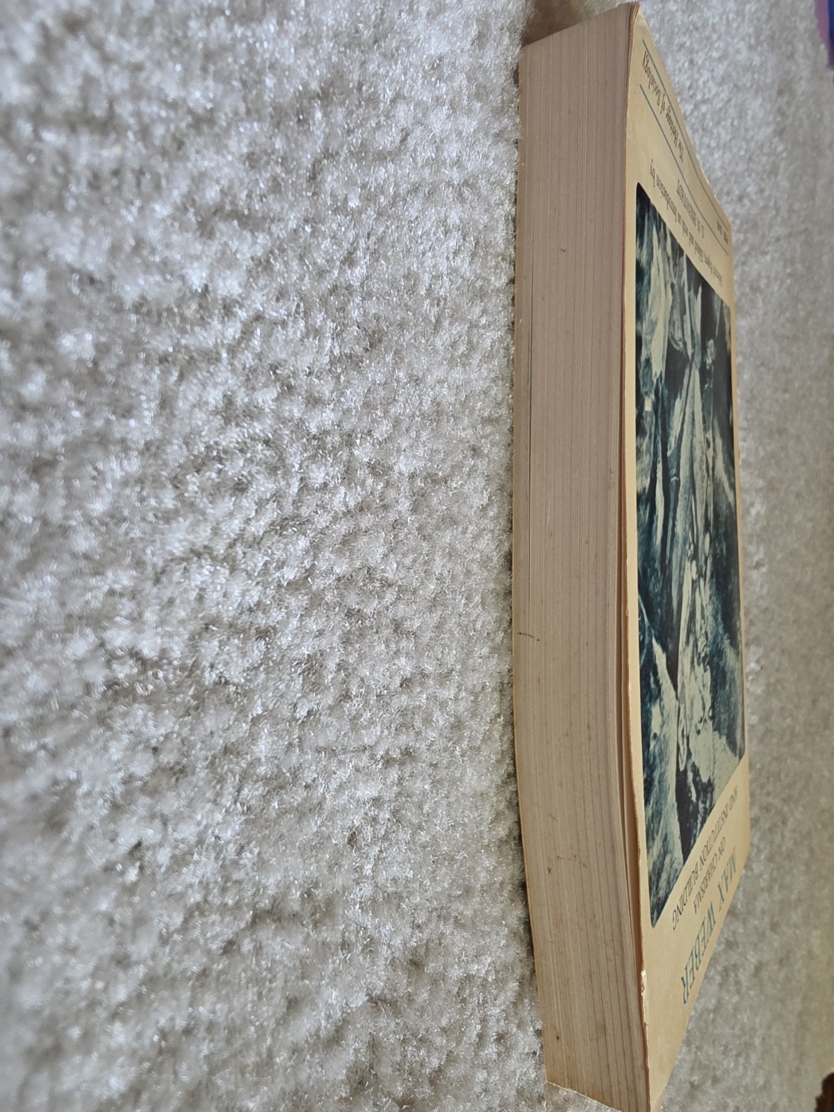 Max Webber On Charisma and Institution Building by S.N. Eisenstadt, 1968