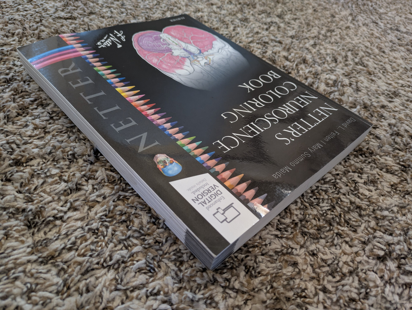 Netter’s Neuroscience Coloring Book | Felton & Maida | 2018 Paperback | LIKE NEW