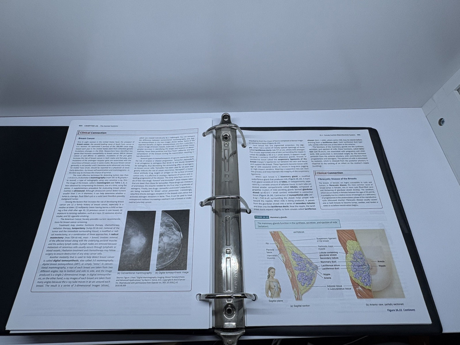 Principles Of Human Anatomy 15th Edition Loose-Leaf Binder By Tortora & Nielsen