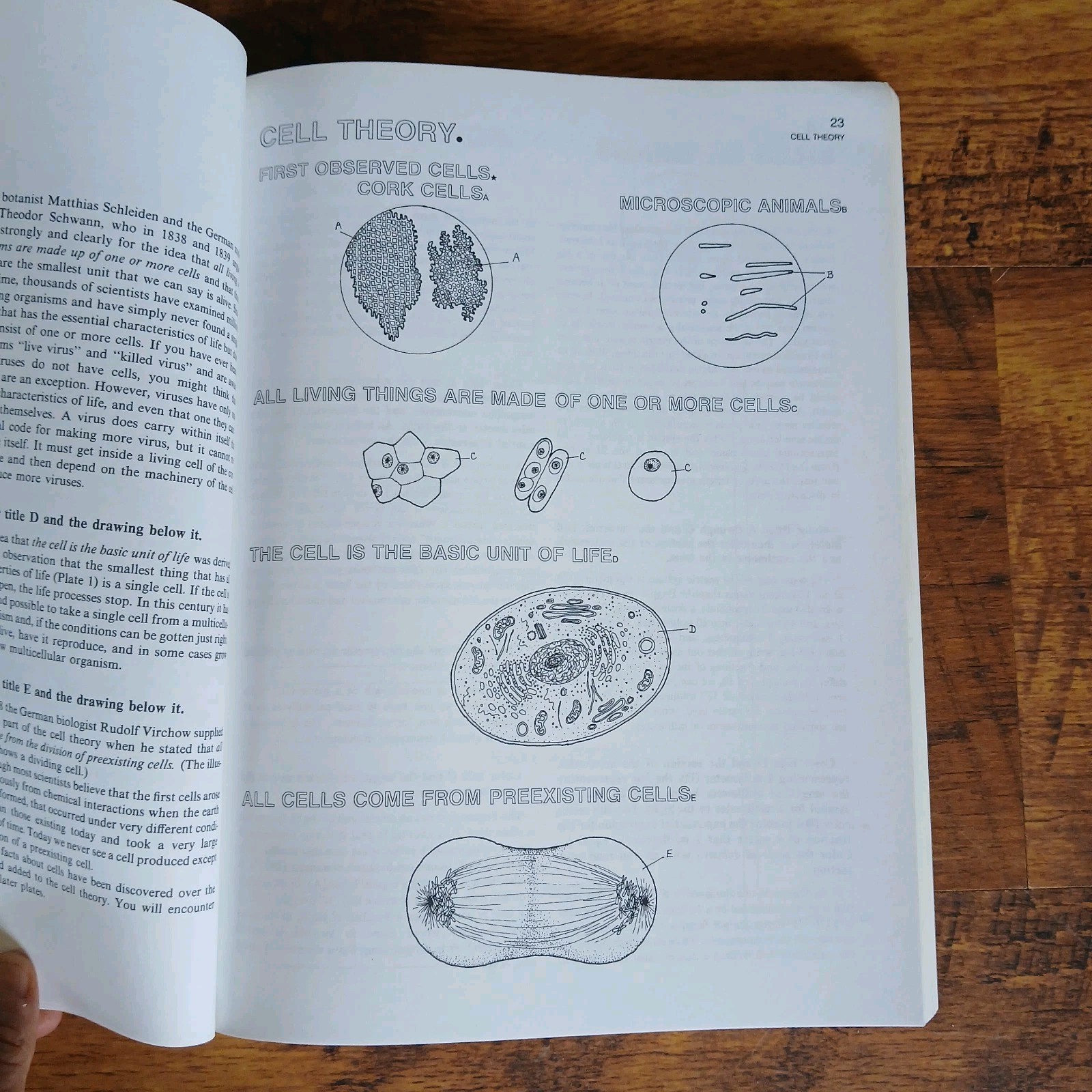 Lot Of 3 Science Coloring Books Biology Anatomy Zoology Vintage