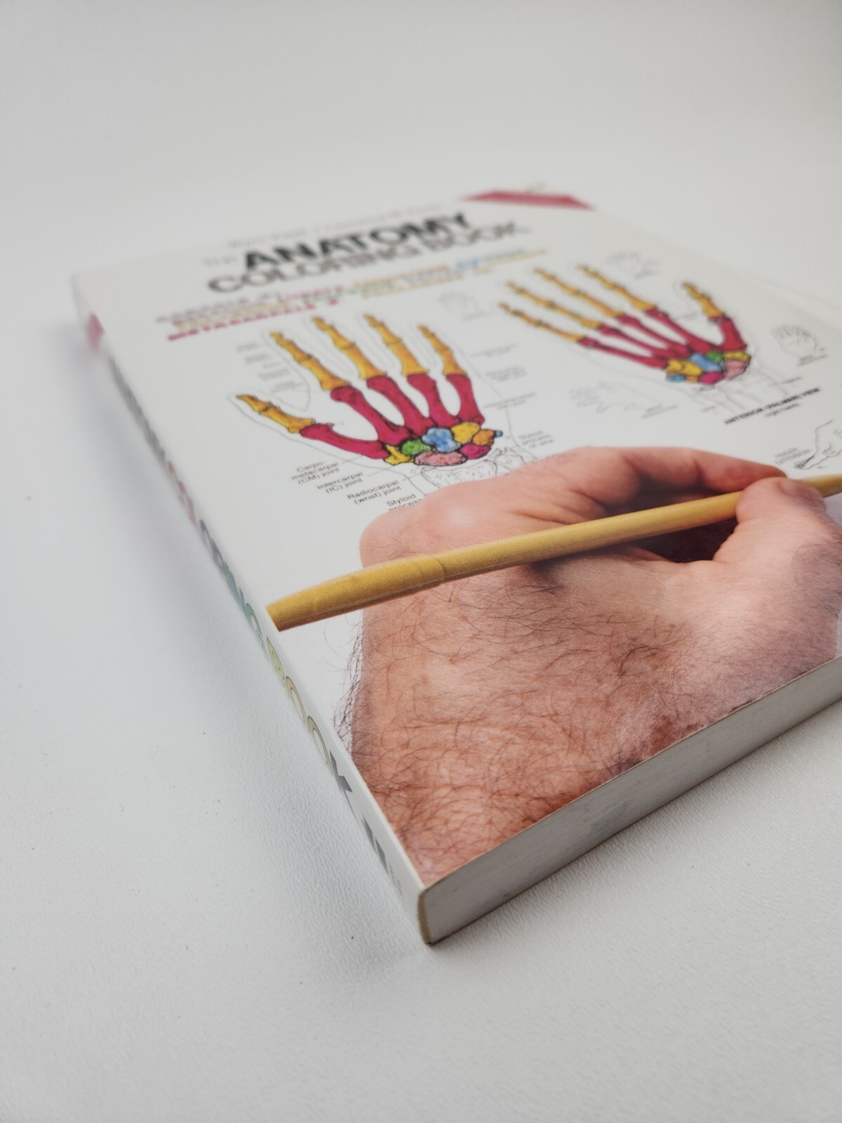 THE ANATOMY COLORING BOOK by Lawrence M. Elson and Wynn Kapit (1997 softcover)