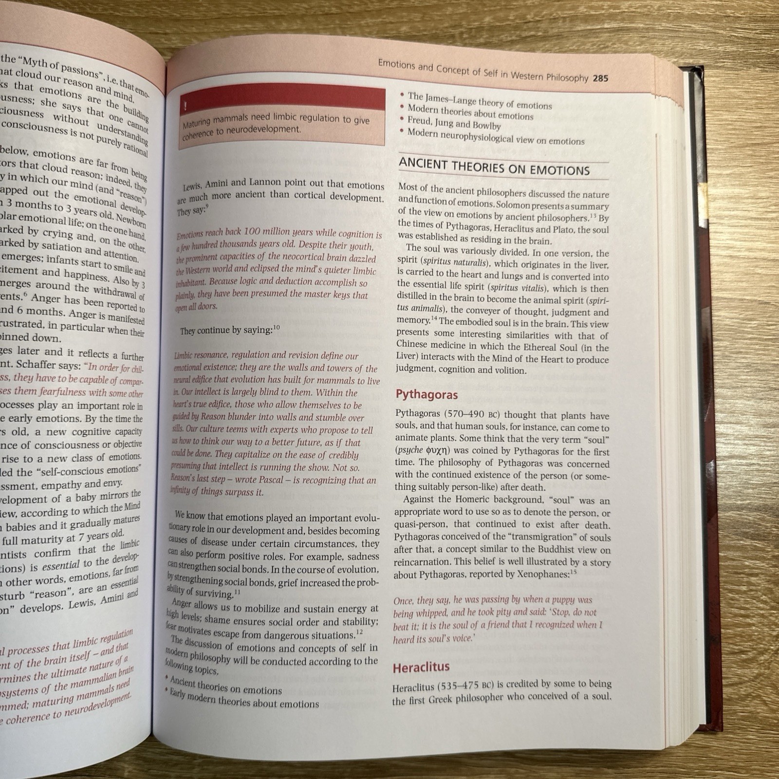 Psyche in Chinese Medicine