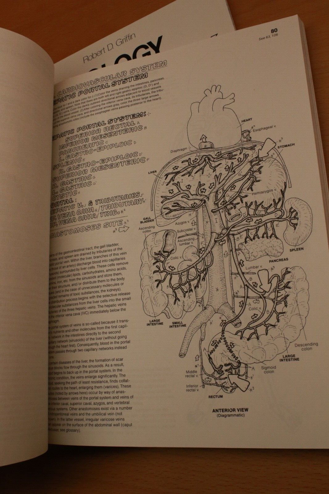 The Anatomy Coloring Book By W. Kapit, L. M. Elson & The Biology C.B. By Griffin