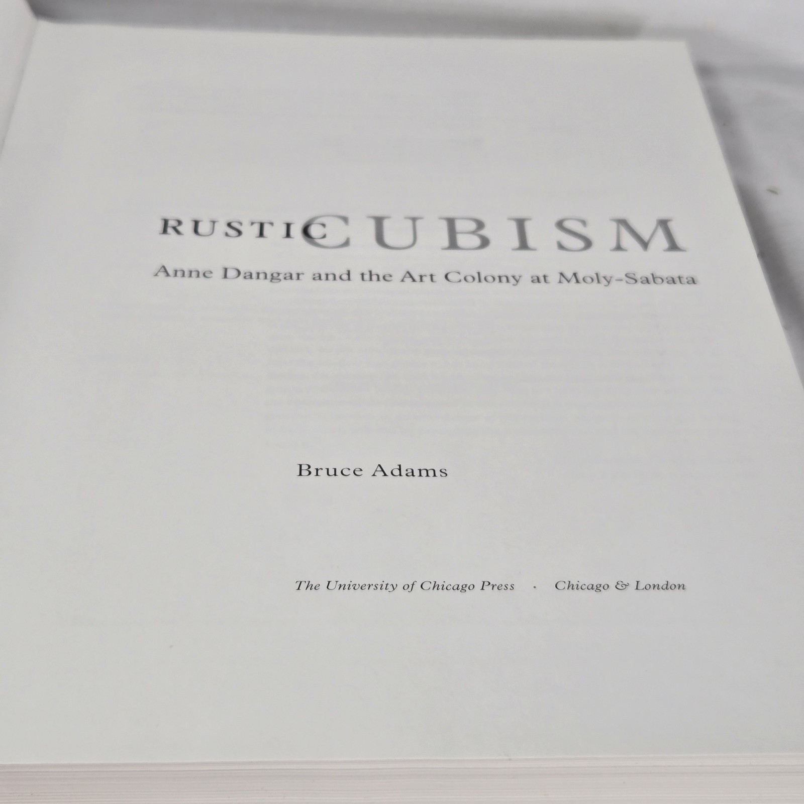 Rustic Cubism Anne Dangar and Art Colony at Moly Sabata Ceramics Painting Book