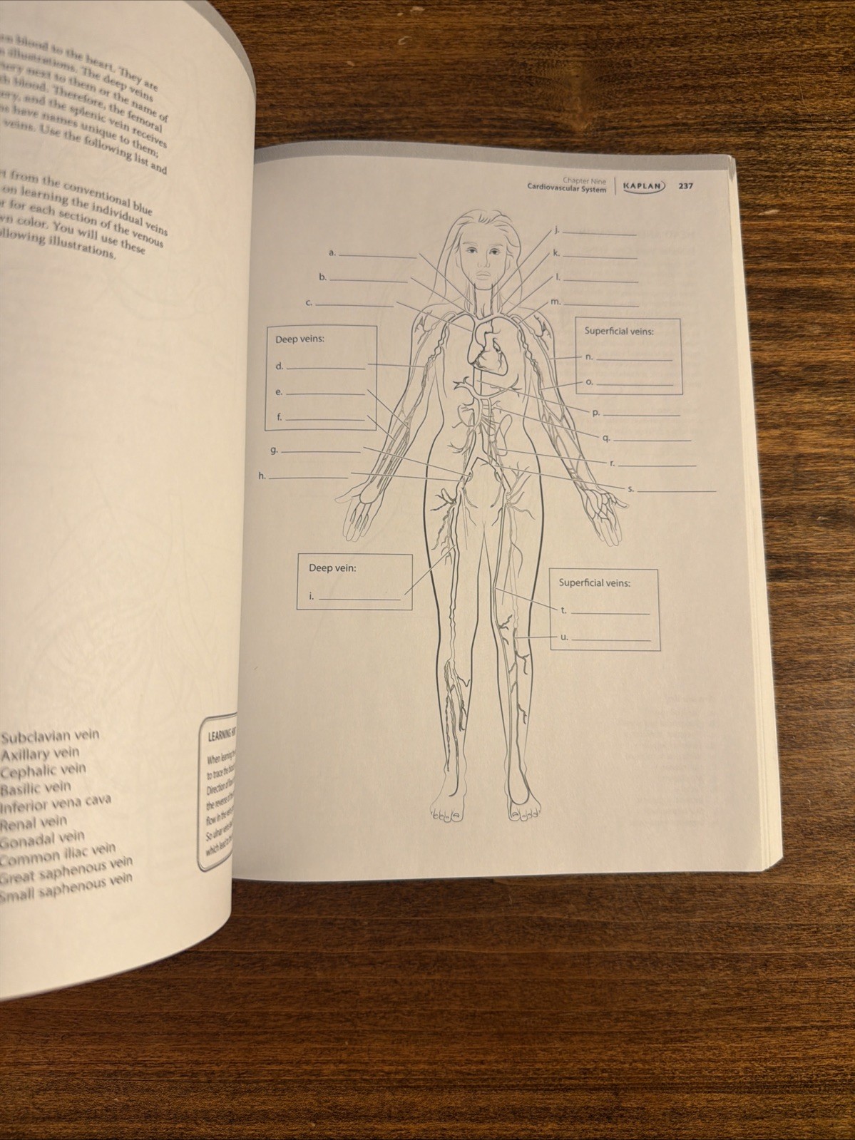 Anatomy Coloring Book by Eric Wise (Kaplan 2024) 10th Edition PB