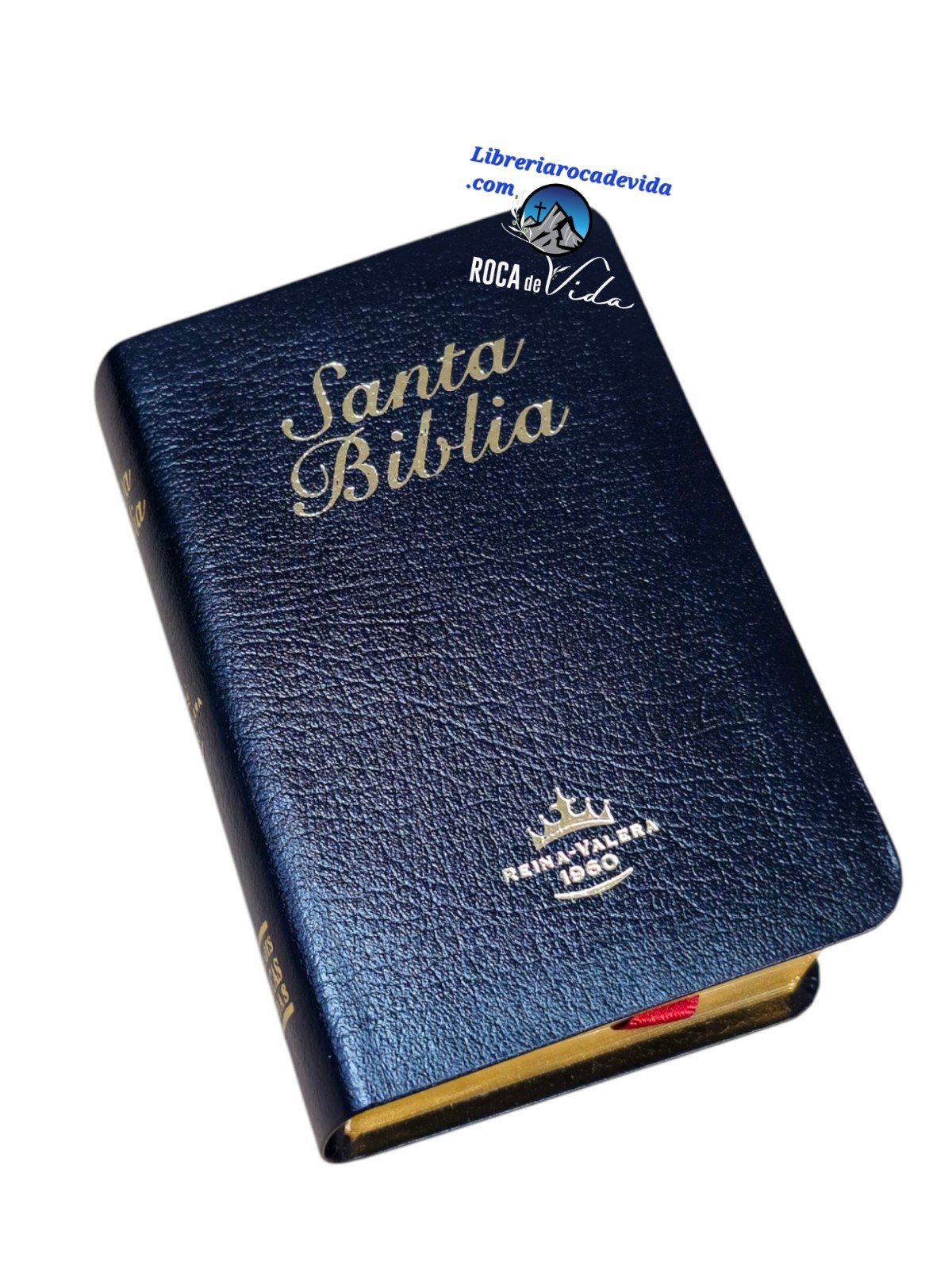 BIBLIA MINI BOLSILLO IMI PIEL NEGRO REINA VALERA 1960 CANTO DORADO