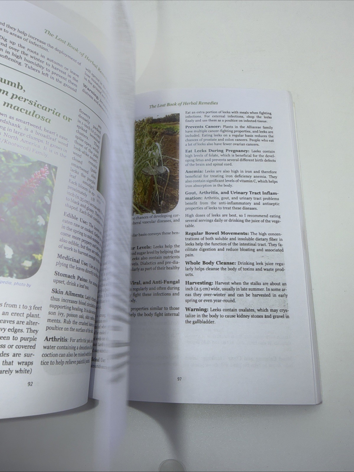The Forgotten Home Apothecary +The Lost Book of Herbal Remedies