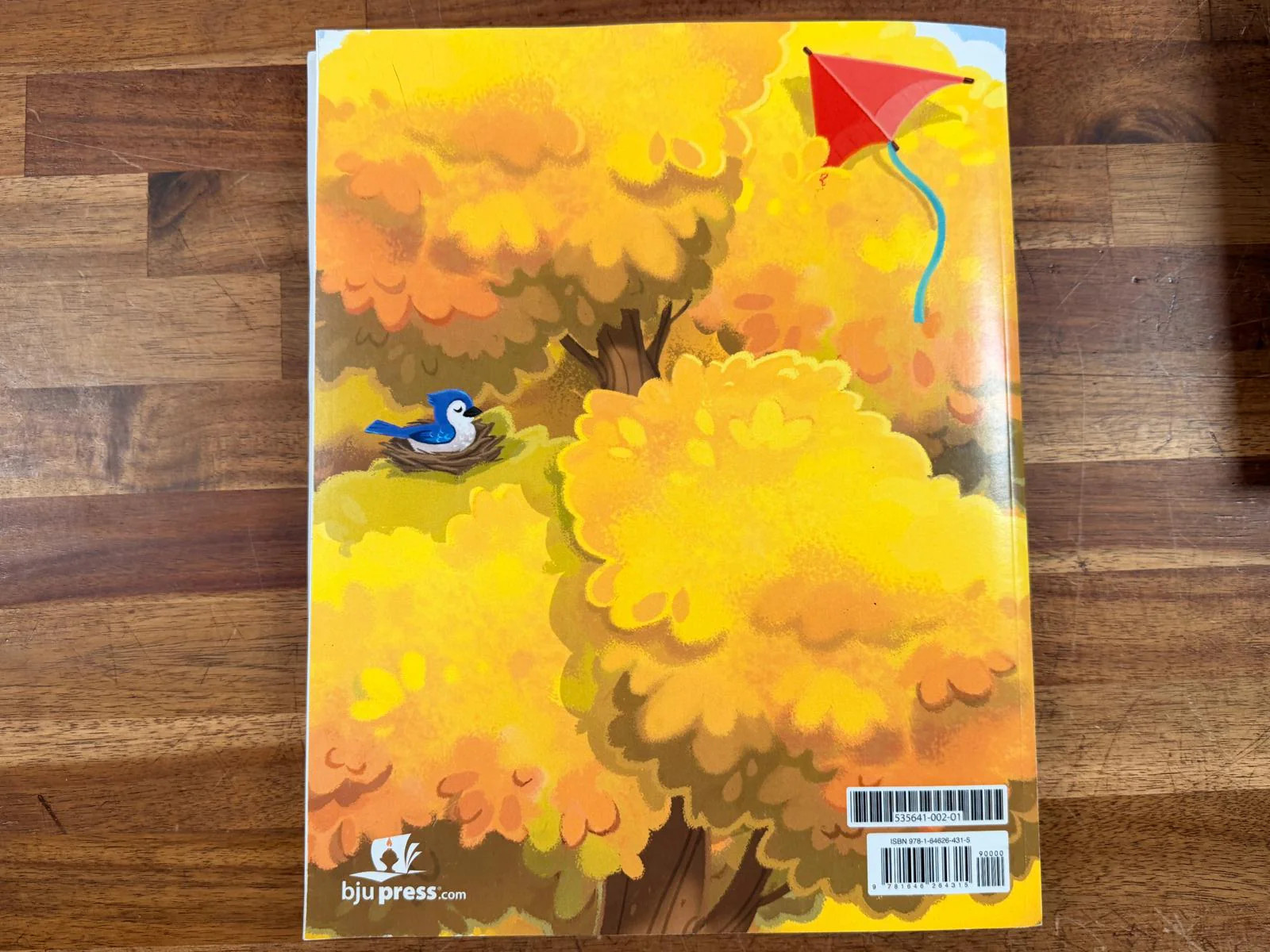 BJU Press Phonics & English 1 Worktext (5th Ed) – Acceptable