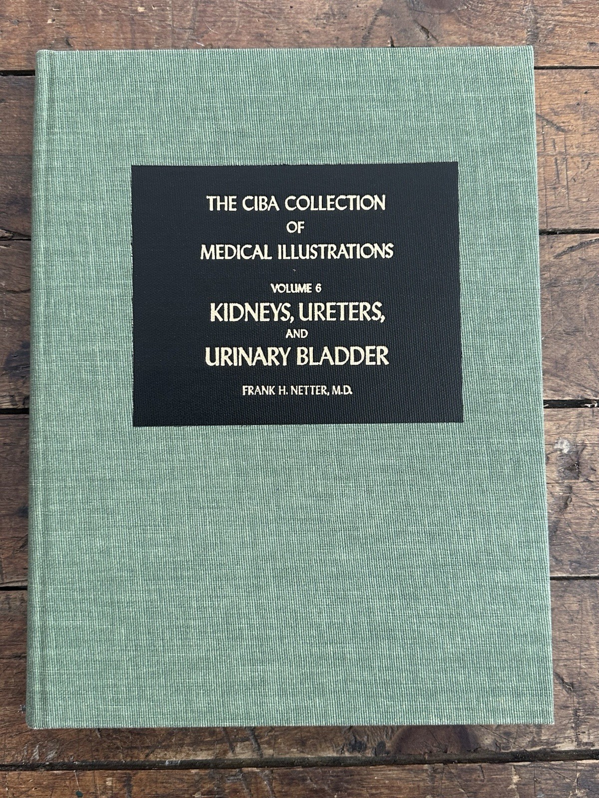 Frank H Netter CIBA Medical Illustrations Heart Kidneys Respiratory 3 Book Set