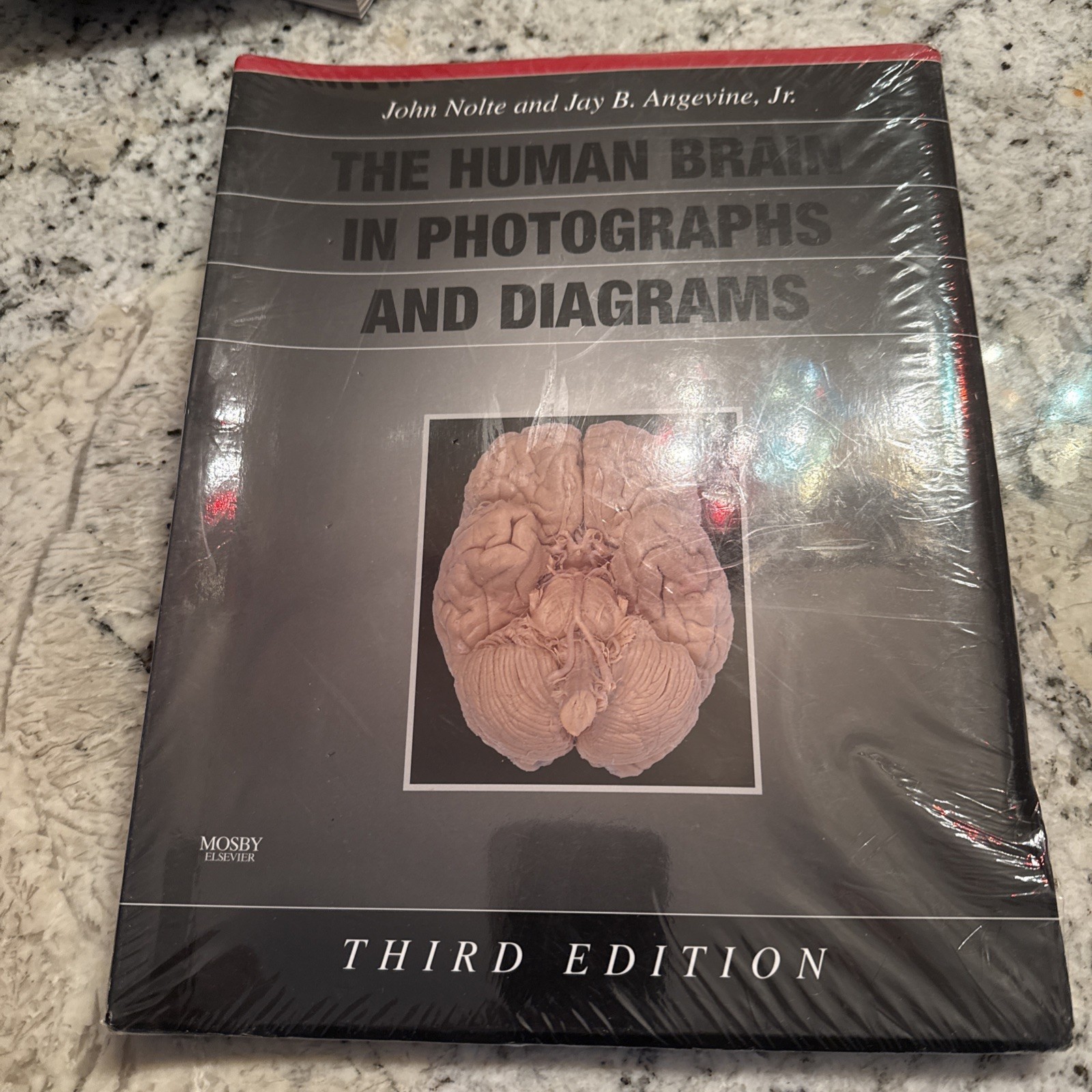 Human Brain in Photographs and Diagrams by Jay B. Angevine Jr. and John Nolte…