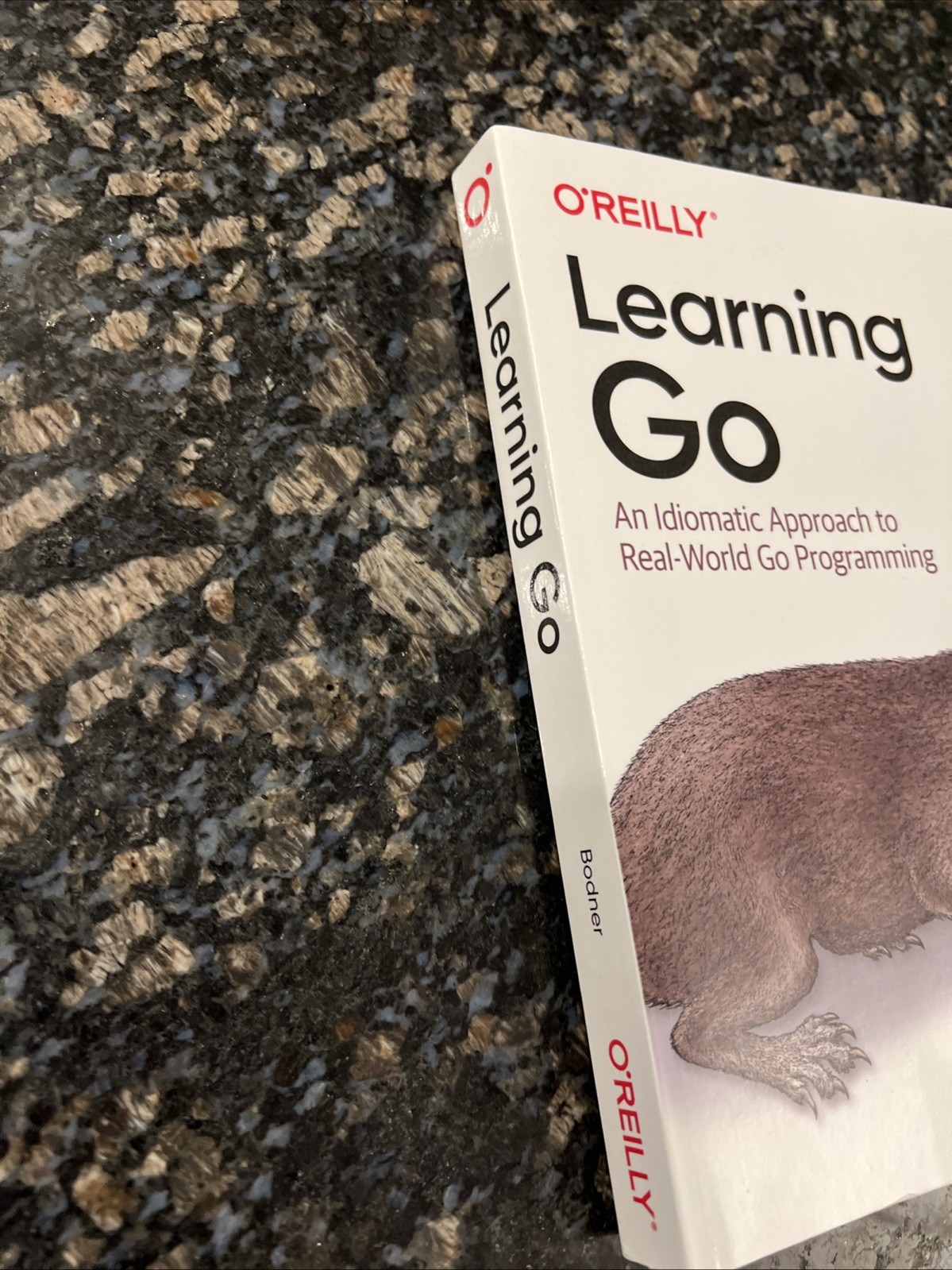 Learning Go : An Idiomatic Approach to Real-World Go Programming