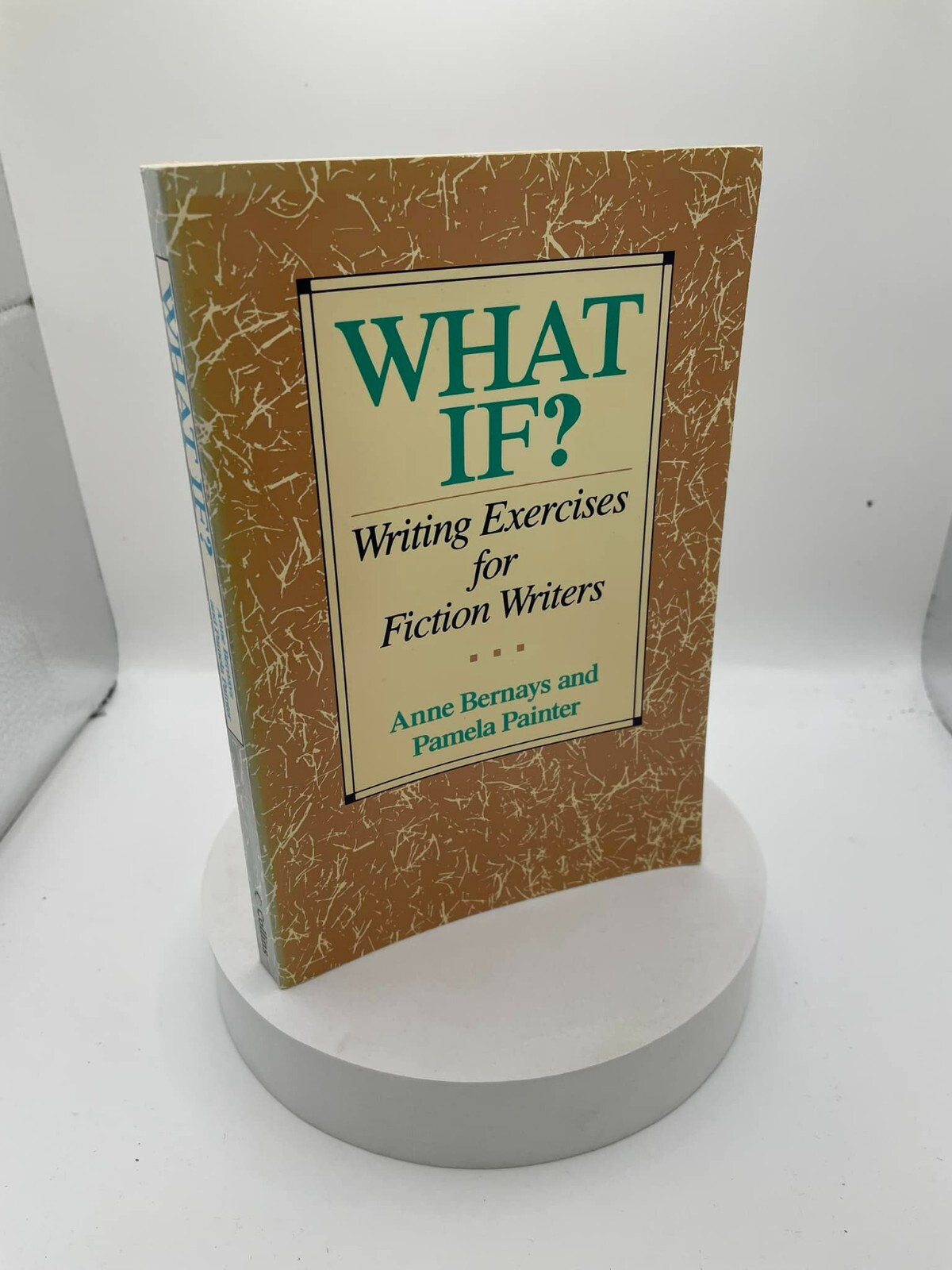What If? Writing Exercises For Fiction Writers by Anne Bernays – Paperback Book
