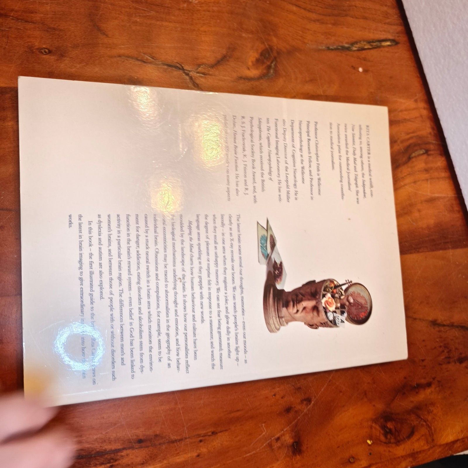 Mapping The Mind by Carter, Rita