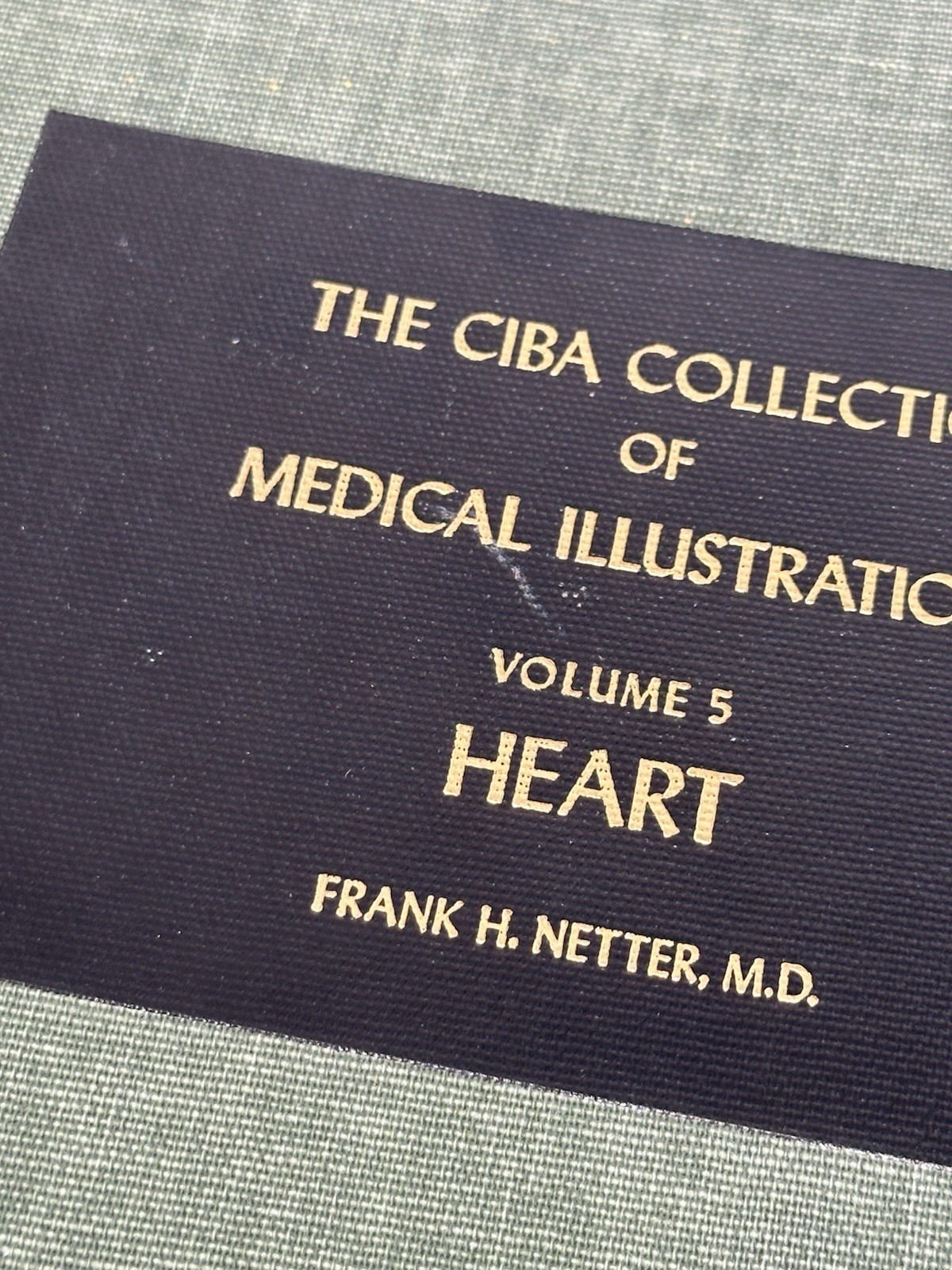 Frank H Netter CIBA Medical Illustrations Heart Kidneys Respiratory 3 Book Set