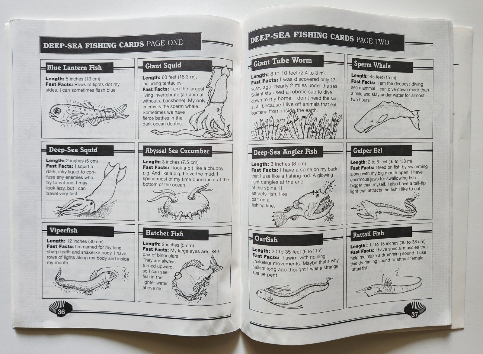 Teacher Reproducible Activity Books Lot Ocean Water Cycle Theme Unit Art Vintage