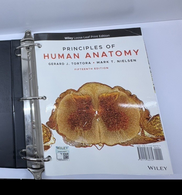 Principles Of Human Anatomy 15th Edition Loose-Leaf Binder By Tortora & Nielsen