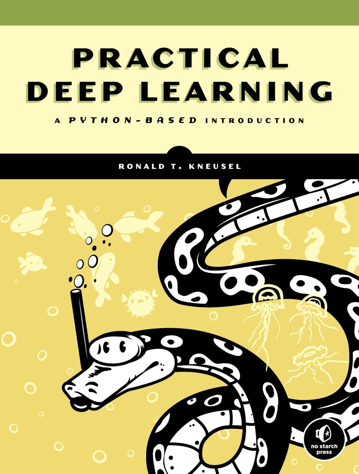Practical Deep Learning: A Python-Based Introduction, Kneusel, Ronald T., Good B