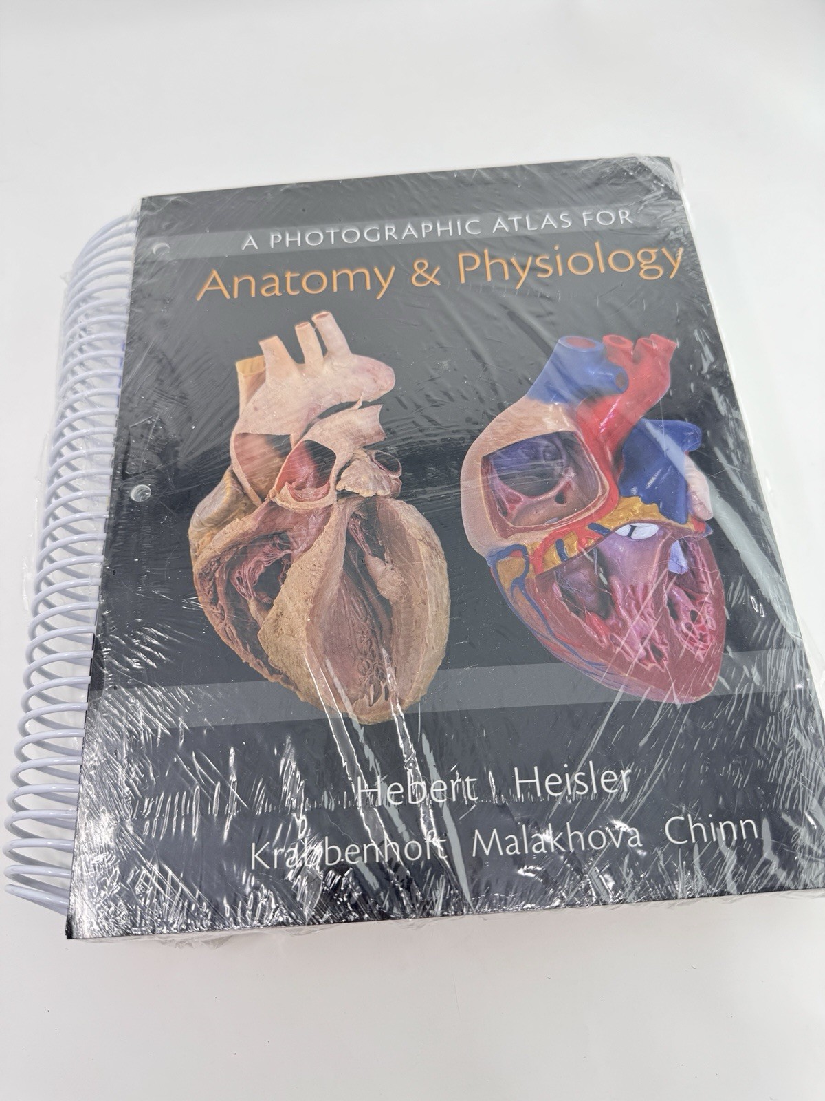 Laboratory Manual for Human Anatomy and Physiology: Cat Version & Photo Atlas