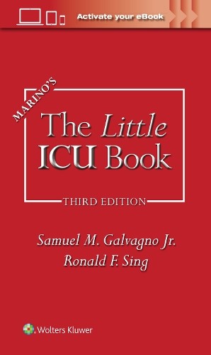 Samuel M. Galvagno PAUL L. MARINO Ronald Fon Marino’s The Little IC (Paperback)