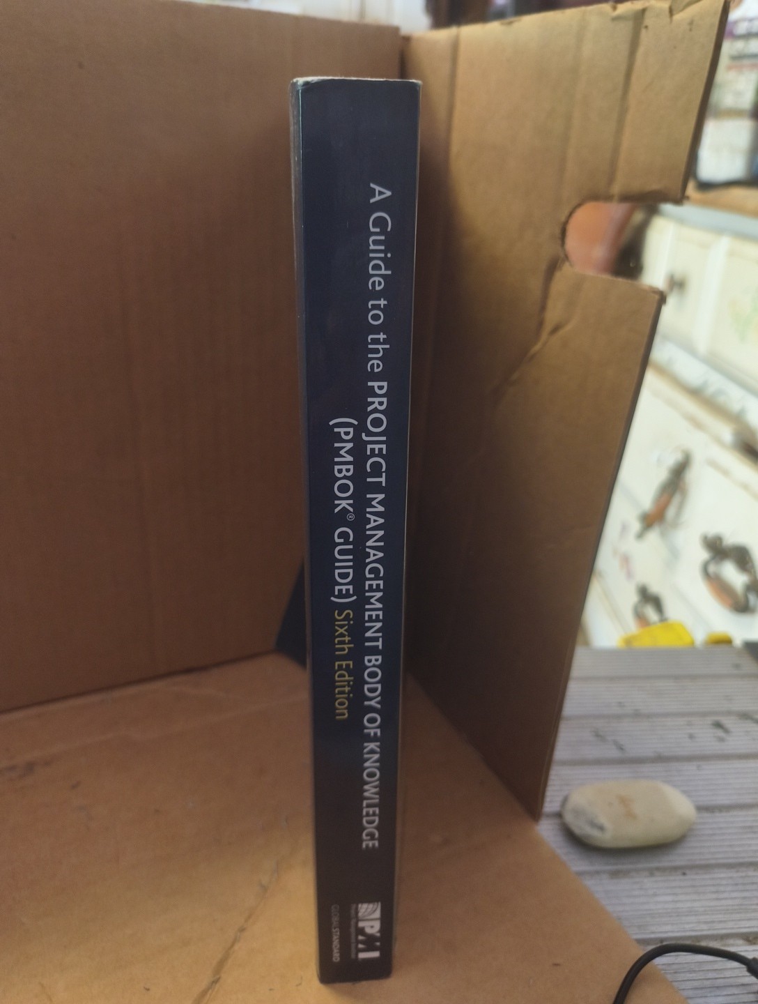 Pmbok® Guide Ser.: Guide to the Project Management Body of Knowledge by Project