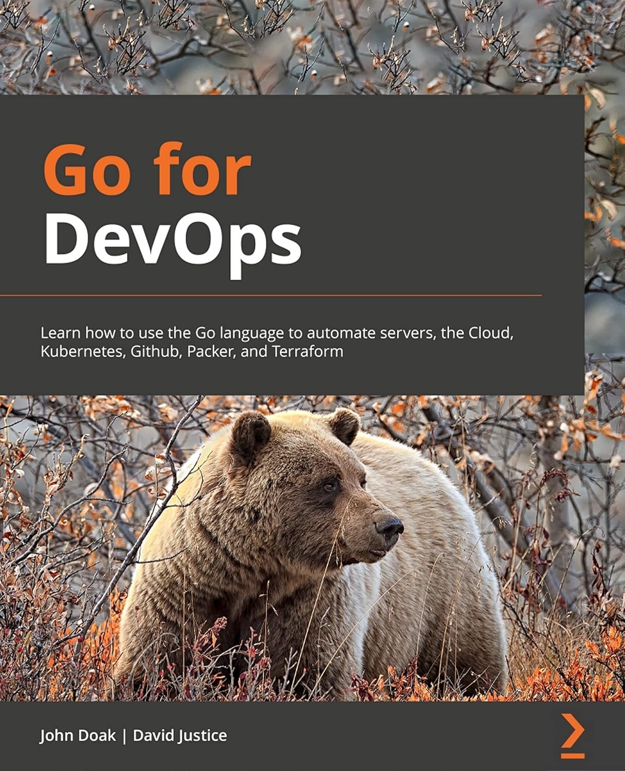 Go for DevOps : Learn How to Use the Go Language to Automate Servers, the Cloud,