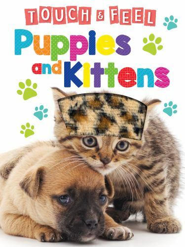 Puppies & Kitties – Touch and Feel Board Book – S- board book, 1952592739, Books
