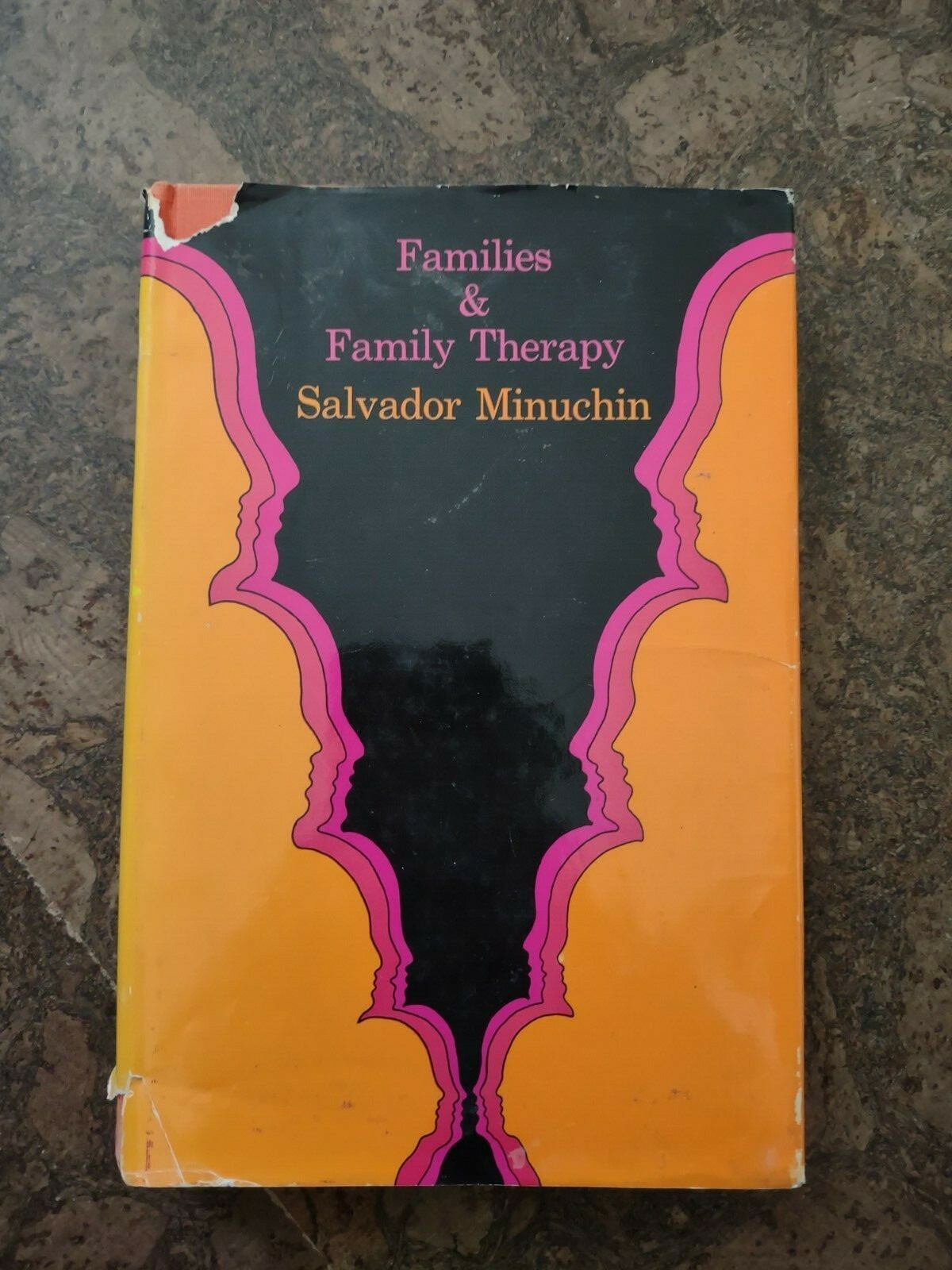 Families & Family Therapy – Salvador Minuchin – 1982 – Hardcover