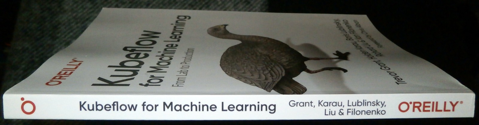 O’ Reilly Kubeflow for Machine Learning | GREAT Condition | Fast Shipping!