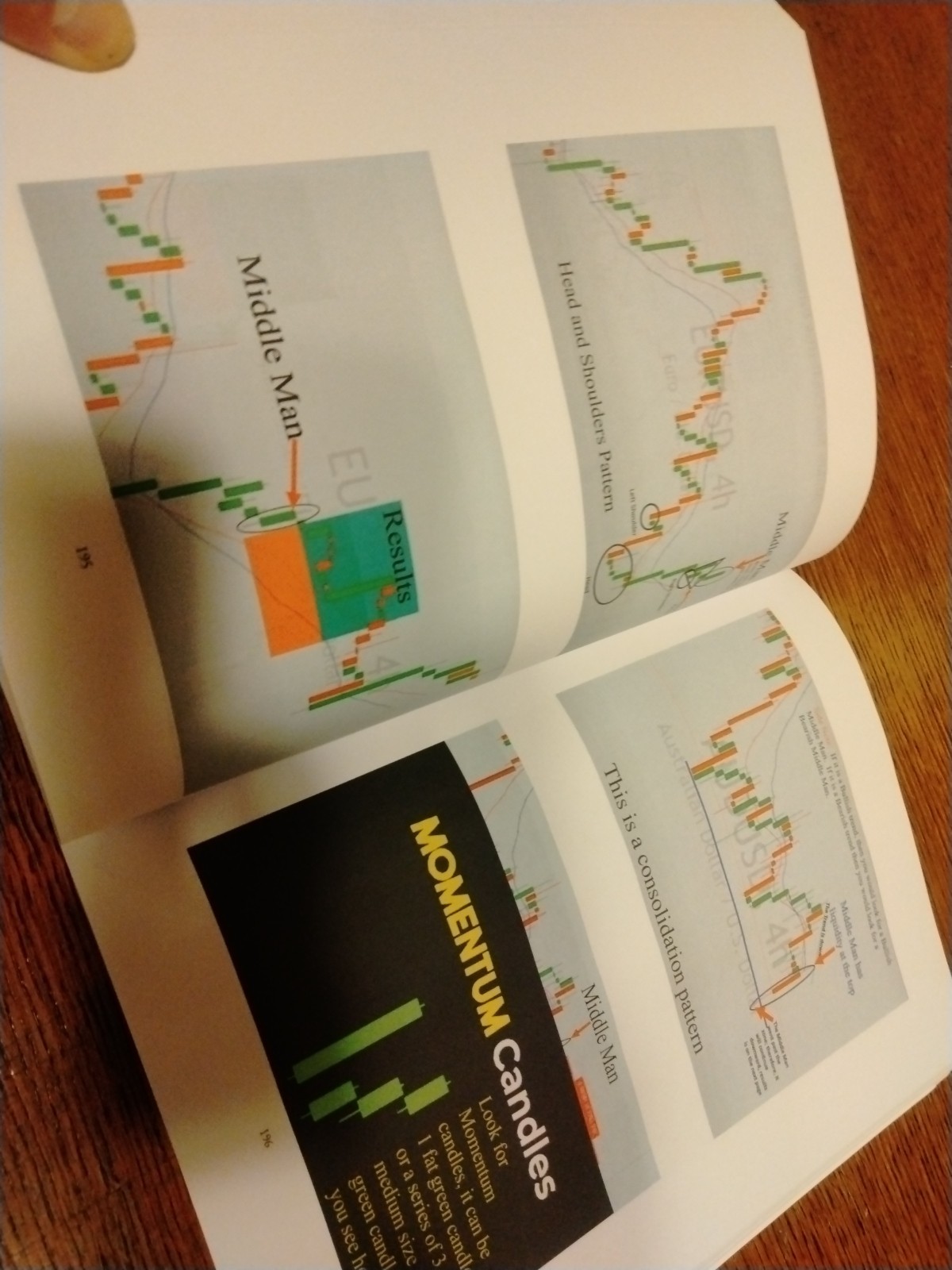 Learning to Trade on The Go by Lisa Johnson Paperback Book