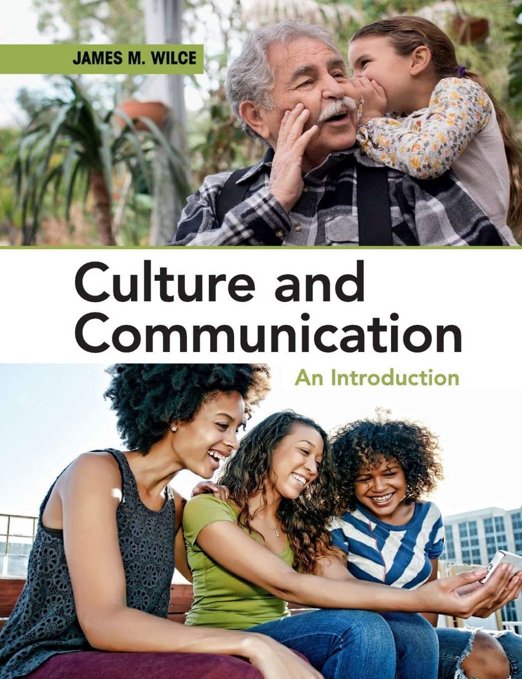 Culture and Communication: An Introduction, Wilce, James M, New condition, Book