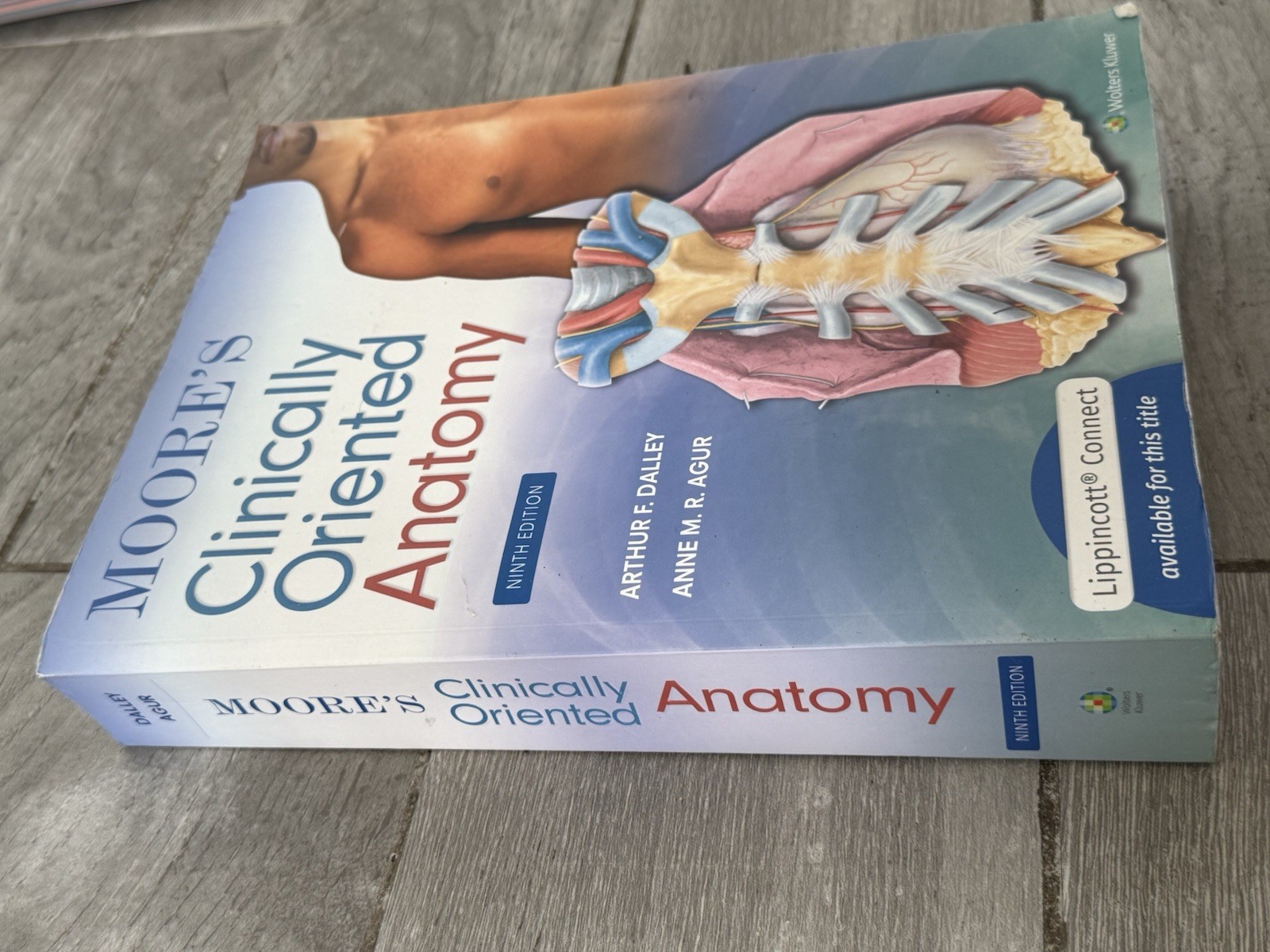 🍏 Moore’s Clinically Oriented Anatomy Ninth Edition 9th Arthur Dalley II PhD