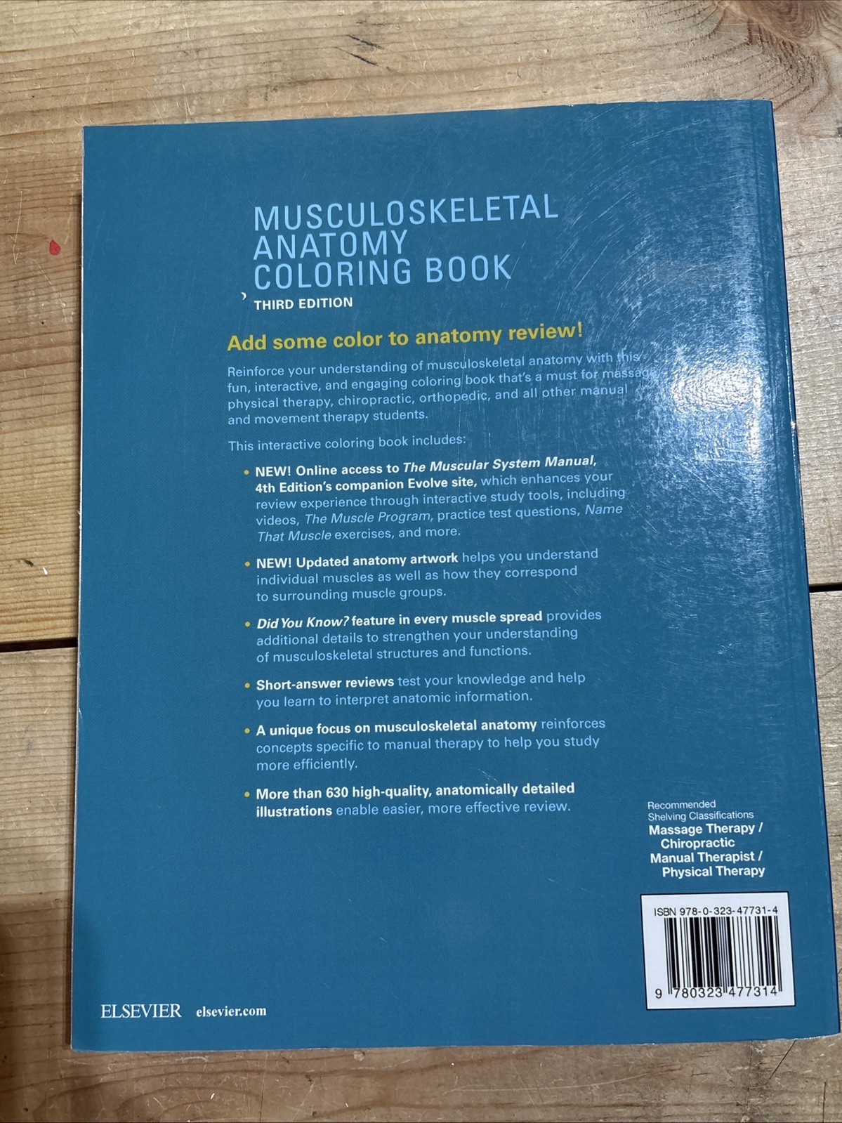 Musculoskeletal Anatomy Coloring Book by DC Muscolino, Joseph E, Dr.: Used