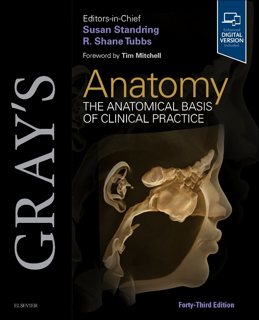 Gray’s Anatomy