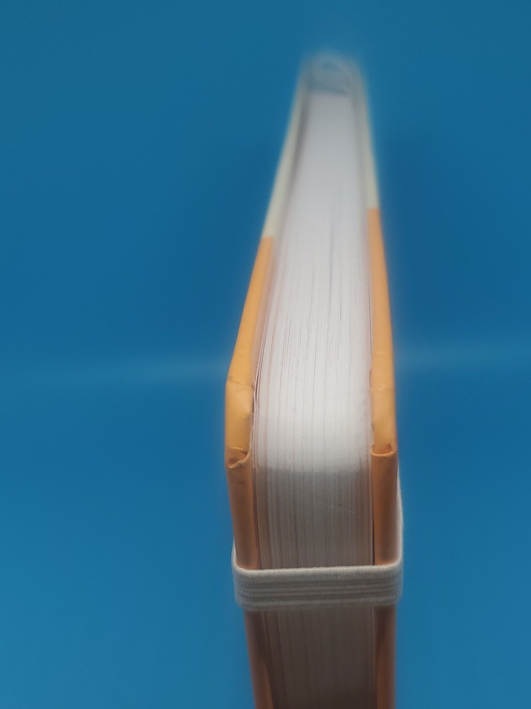 Stretching Sidekick Journal by Habit Nest Guided Stretching Volume 1