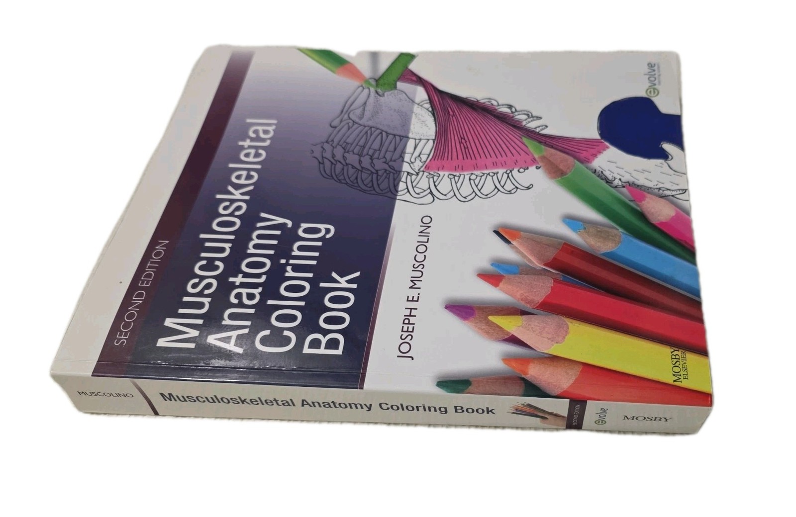 Musculoskeletal Anatomy Coloring Book